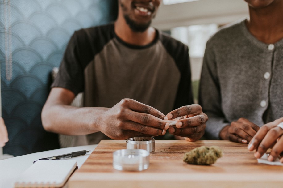 Cannabis segmentation case study photo